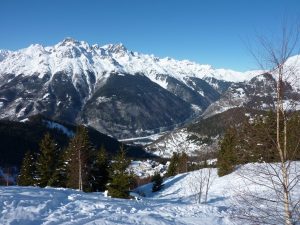 Alped'huez Grand Domain Catered chalet Gelinotte