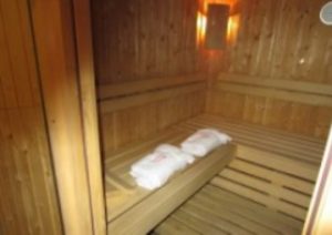 Sauna chalet Tetras